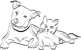 Tischlerei Kinder Haustier Möbel